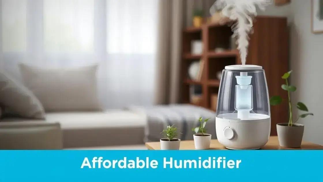 Benefícios dos humidificadores mais baratos